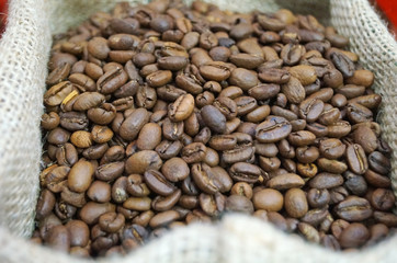 Coffee beans roasted to golden and brown are on the counter in the store