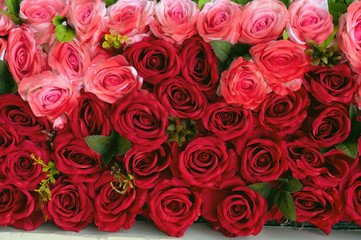 background of roses flowers