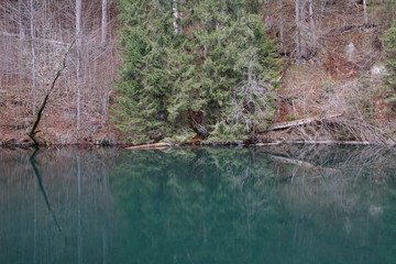 schöner Bergsee mit grünem Wasser