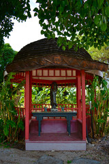 in Hawaii - HNL