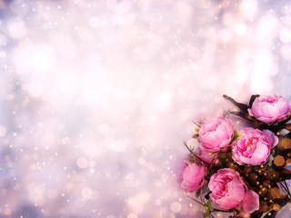 spring background of flowering peonies and leaves