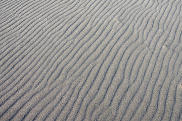 Obraz premium 砂浜の風紋