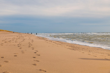 Fototapeta na wymiar people walking at the beach during hard wind