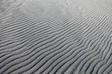 砂浜の風紋