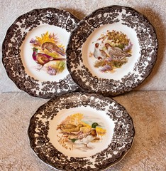 Bird  printed plate  game  birds 