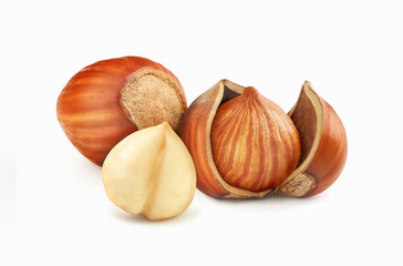 beautiful hazelnuts on a white background