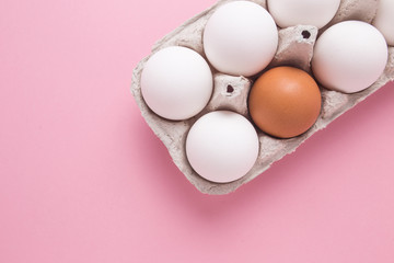 Tray with chicken eggs on a pink background. A brown egg among white. The concept of individuality.