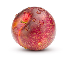 Red plum with water drop isolated on white background. Fresh plum clipping path.