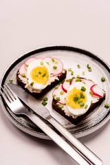 Savory smorrebrod, two traditional Danish open sandwiches. Black rye bread with radish, eggs, cream cheese and green onion on a plate on grey concrete background. Selective focus