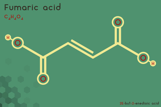 Large and detailed infographic of the molecule of Fumaric acid
