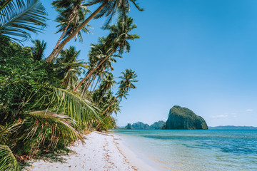 Philippines, Palawan, El Nido beach at low tide, palm tree and amazing Pinagbuyutan island in background. Exotic vacation holiday travel concept