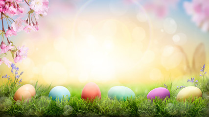 A fresh green spring Easter background with painted eggs on a green grass and pink cherry blossom flowers.
