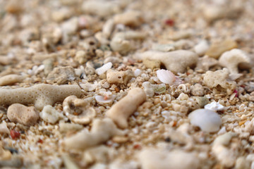 沖縄本島西海岸の朝