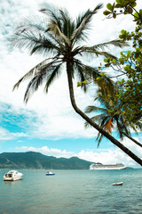 tropical beach with palm trees