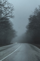 Obraz na płótnie Canvas road in a thick fog. black- and-white image of trees, roads in fog