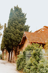 an old house with a red tile roof and a chimney, and trees growing nearby.
