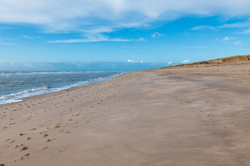 Fototapeta na wymiar sea beach and the dutch dunes