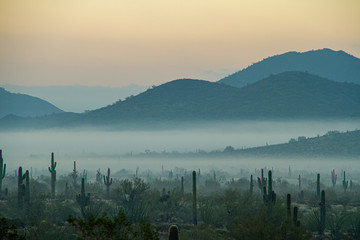 Fototapeta na wymiar Fog hovering over the mountains of central Arizona with Saguaro cactus and other desert plants