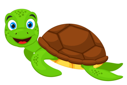 Turtle swims and smiles on a white background. Character