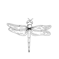Isolated dragonfly. Black outline. Hand-drawn coloring book for adults and children. Japanese style. Design of t-shirts, postcards, flyers, brochures. Vector illustration.