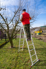 Man pruning fruit tree branches. Work in the home garden. A scene from everyday life.