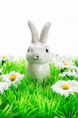 Osterhase auf der Blumenwiese