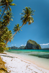 Palm trees on sandy beach with impressive Pinagbuyutan island in background. Dreamlike landscape scenery in El Nido, Palawan, Philippines