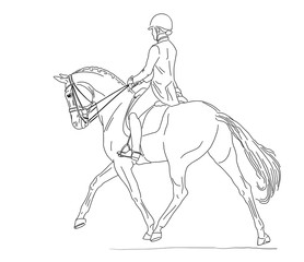 Dressage test, rider and horse, half-pass