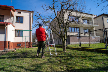 Gardener carrying a ladder. Work in the garden.