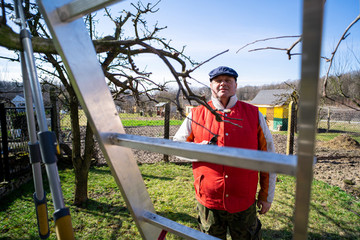 Man pruning fruit tree branches. Work in the home garden. A scene from everyday life.