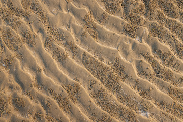 Fototapeta premium Closeup of sand pattern of a beach in the summer.
