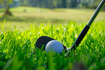 Fototapeta na wymiar Golf ball and golf club in beautiful golf course at Thailand. Collection of golf equipment resting on green grass with green background