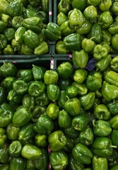 Obraz na płótnie Canvas Fresh green pepper on the market view