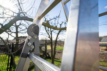 Hanging pruning shears. Work in the home garden. Pruning branches.