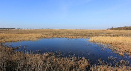 puddle in spring steppe