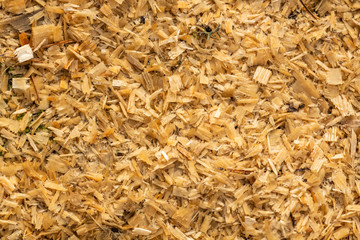 texture of wood chips after wood cut