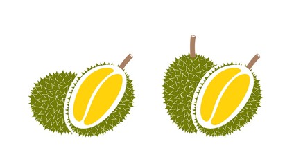 Durian logo. Isolated durian on white background