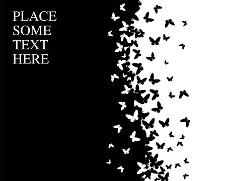 Fototapeta Background butterflies with place for your text