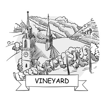 Vineyard hand-drawn urban vector sign