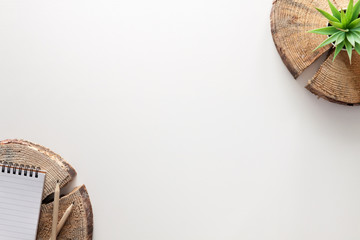 Creative home desk from above. Copy space. Empty space for text. Trunk slices as a decoration. Succulent and open notebook. Natural and eco style