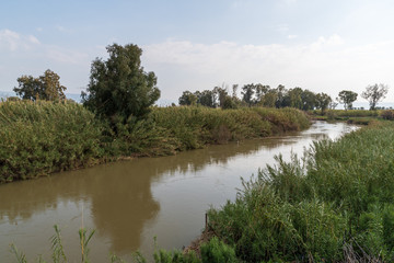 Fototapeta na wymiar The Jordan river in Israel