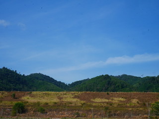 Obraz premium Forest and green mountains in Thailand