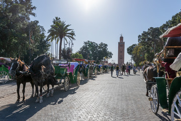 Obraz premium Marrakesh City in Morocco