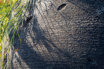 tires02
