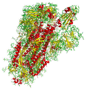 3D Structure Of The 2019-nCoV Coronavirus Spike, A Target For Vaccine Against Covid-19. PDB 6VSB