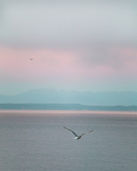 Fototapeta na wymiar Seattle Washington Ocean View