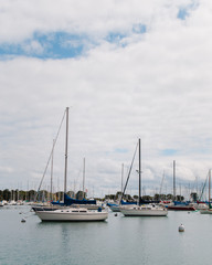 Naklejka premium Chicago Sail Boats