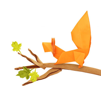 Curious origami cartoon squirrel on a branch on a white