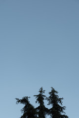 sky limits in a minimalist way