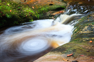 Small whirlpool in stream at forest